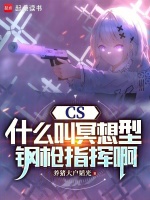 小说《CS：什么叫冥想型钢枪指挥啊》封面