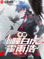 小说《斗罗：幽瞳白虎霍雨浩》封面
