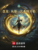 小说《盘龙：从第一次系统开始》封面