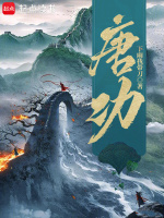 小说《隋唐上将军》封面