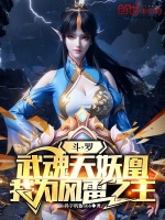 小说《斗罗：武魂天妖凰，我为风雷之主》封面