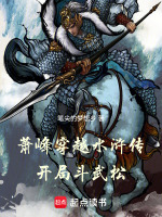 小说《萧峰穿越水浒传，开局斗武松》封面