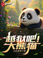 小说《越狱吧！大熊猫》封面
