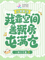 小说《分家断亲，我靠空间盖新房屯满仓》封面