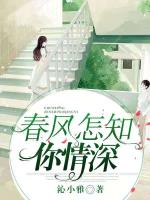 小说《春风怎知你情深》封面