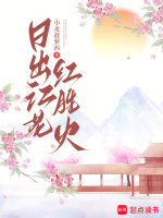小说《日出江花红胜火》封面