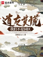 小说《道友莫慌，我们不是园区》封面