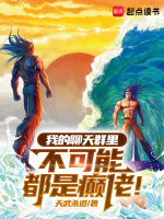 小说《我的聊天群里不可能都是癫佬！》封面
