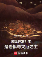 小说《游戏开发？不，是恐惧与灾厄之主》封面