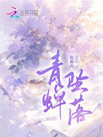小说《青蝉坠落》封面