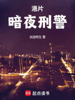 小说《港片：暗夜刑警》封面