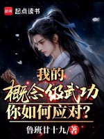 小说《我的概念级武功，你如何应对？》封面