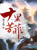 小说《十里芳菲》封面