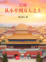 小说《红楼：从小卒到万人之上》封面