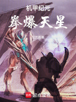 小说《机甲纪元，拳爆天星》封面
