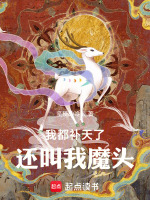 小说《我都补天了还叫我魔头》封面