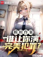 小说《模拟作案，谁让你演完美犯罪？》封面