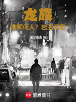 小说《龙族：家师何人？岩王帝君！》封面