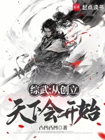 小说《综武：从创立天下会开始》封面