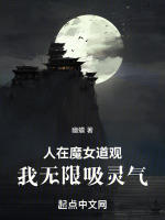 小说《幽山圣子道》封面