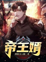 小说《帝王婿》封面