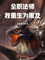 小说《全职法师：我重生为黑龙》封面