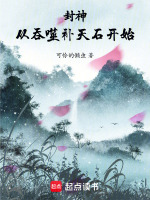 小说《封神：从吞噬补天石开始》封面