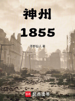 小说《神州1855》封面